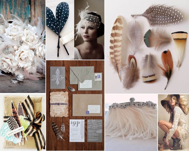 feather_2013trend_cdd