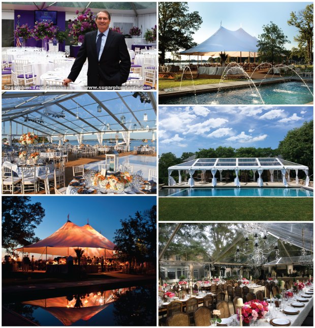 Sugarplum collage-01